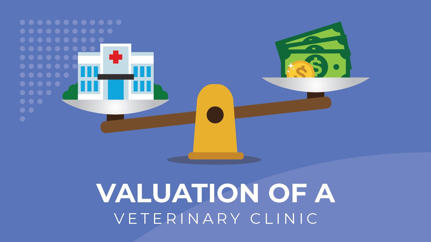 Valuation of a Veterinary Hospital
